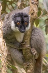 Madagascar